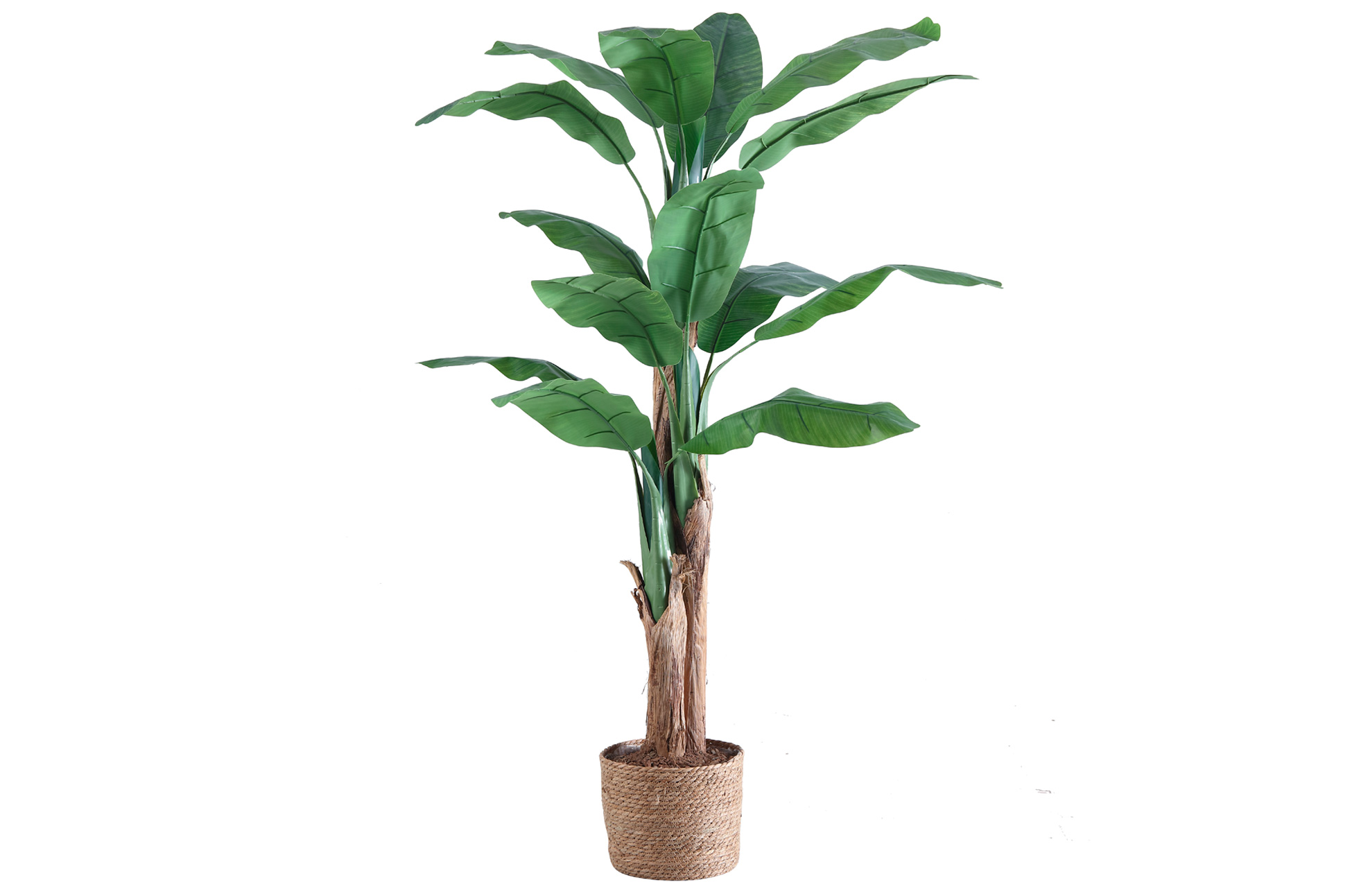 0708000020000-1-full.jpg BANANERO ARTIFICIAL 180 CM ALTO - Imagen 1